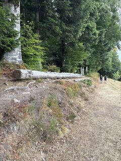 Photo de Thomas Muckenhirn le long du parcours