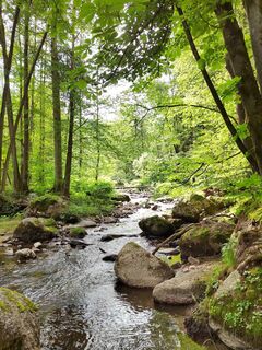 Fotografia z ReginaSt na trase