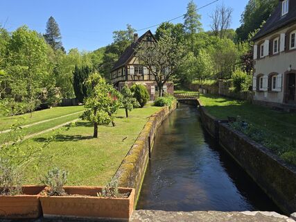 Photo de Michel Kennel le long du parcours