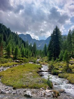 Fotografija s spletne strani Linus na poti
