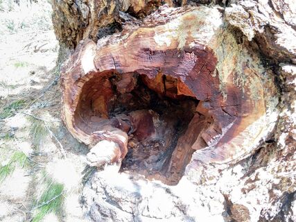 Kuva osoitteesta WolBo matkan varrella