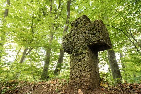 Wandern auf dem Schneifel-Pfad -Weg des Friedens