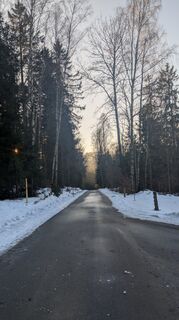 Foto von Stubi entlang der Tour