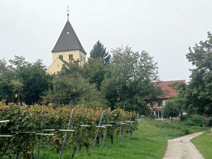 Foto fra simone ravasi underveis på turen