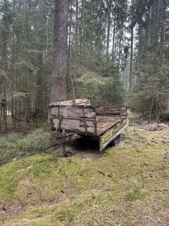 Foto de Babs Holz a lo largo del recorrido