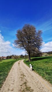 Foto de Elisabeth Rossa a lo largo del recorrido
