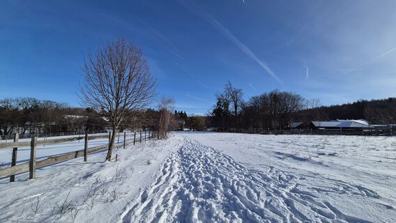 Fotografija s spletne strani Antonietta Havasi na poti