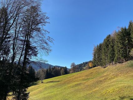 Weg in die Parzelle Maien