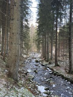 Fotografija s spletne strani Lena Edinger na poti