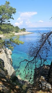 Fotografia z Grieshofer Gerlinde na trase