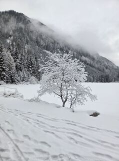 Zdjęcie z Timon Bertignoll wzdłuż trasy