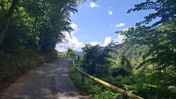 Fotografija s spletne strani Márti na poti