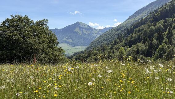 Foto von Boris Schickedanz entlang der Tour