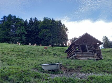 Foto da Matthias Zimmermann lungo il tour