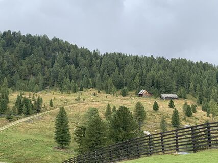 Foto von Melanie Hörzer entlang der Tour