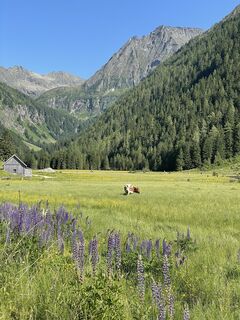 Photo de Gerda Dobler le long du parcours
