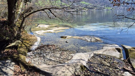 Photo de Thomi W le long du parcours