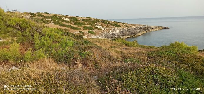 Photo de GIUSEPPE SORRENTINO le long du parcours