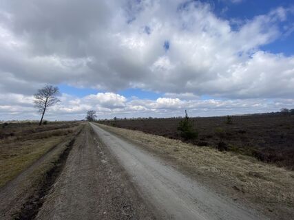 Foto de Roy de Vries a lo largo del recorrido