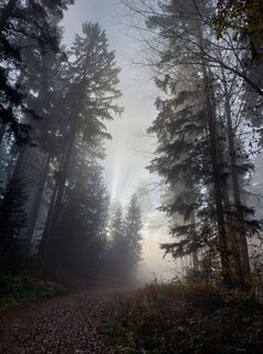Photo de huibu le long du parcours