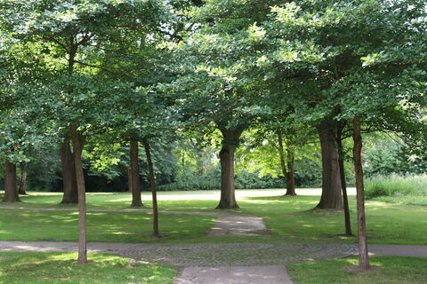 Kurpark Rothenuffeln