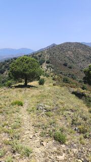 Foto von CPQS entlang der Tour