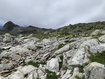 Foto von Koen De Wit entlang der Tour