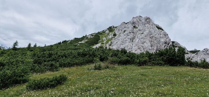 Fotografia z navigacija na trase