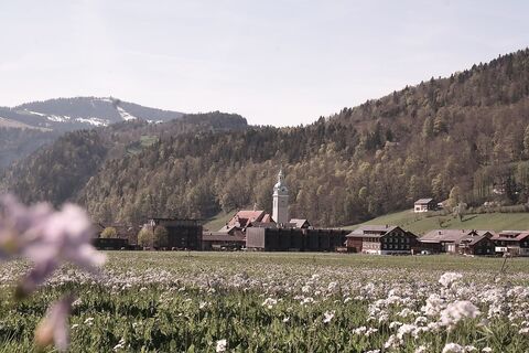 Blick auf das Dorfzentrum Bezau