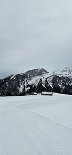 Foto von Wanderratte entlang der Tour