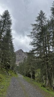 Fotografia z sagal na trase