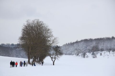 Winterlandwandern rund um Diedelsheim