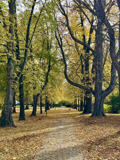 Photo de Melina Paschke le long du parcours