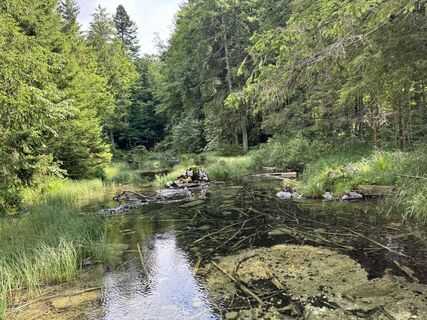 Foto von Beckhaus-Sven.com entlang der Tour