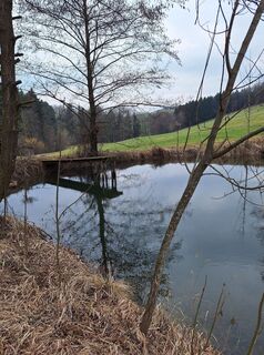 Photo de Mimi le long du parcours
