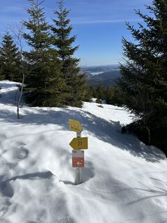 Fotografija s spletne strani Thomas Brandstaetter na poti
