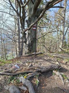 Foto von christian_75 entlang der Tour