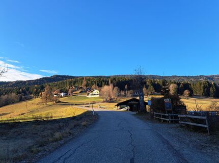 Foto von Daniela König 1 entlang der Tour