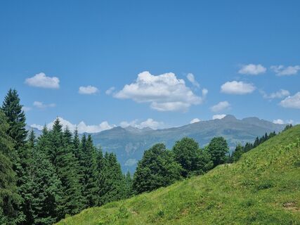 Fotografia z Sabine Pfeiffer na trase