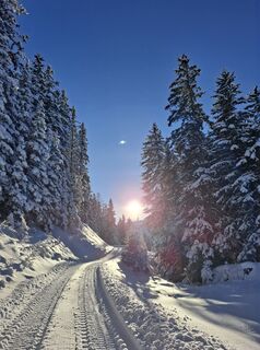 Fotó a Magnus Moser honlapról a túra során