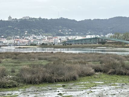 Fotografia z Helmut Schellmann na trase