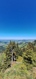Photo de Gaby Brühwiler le long du parcours