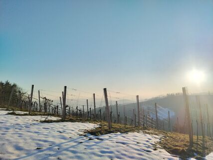 Foto de Georg a lo largo del recorrido