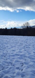 Foto von Brigitte Hainzmann entlang der Tour