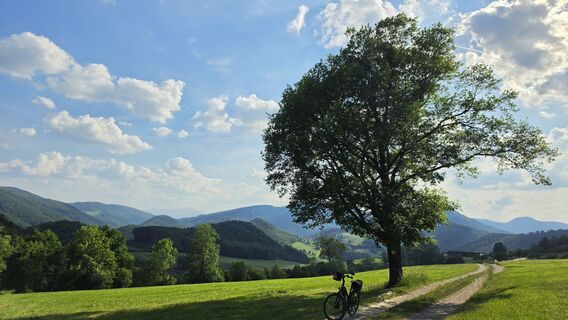 Fotografia z fschwarzenberger na trase