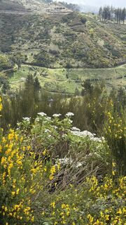 Fotografia z Marki1966 na trase