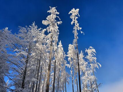 Photo de Rudi le long du parcours