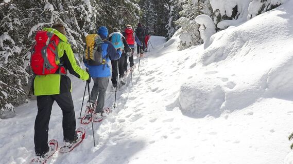 Beim Aufstieg geht es hauptsächlich durch den Wald
