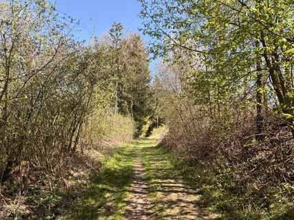 Fotografie z Nina Astleitner na trase