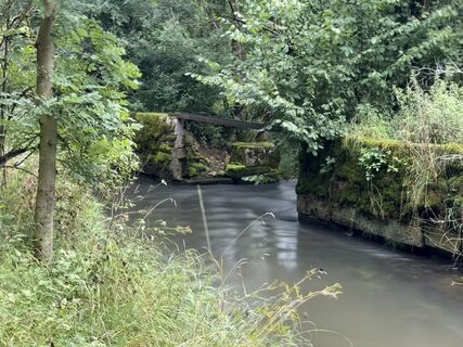 Foto von Norbert Herbig entlang der Tour